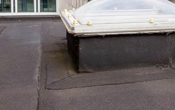 disadvantages of Milton Abbas flat roofs