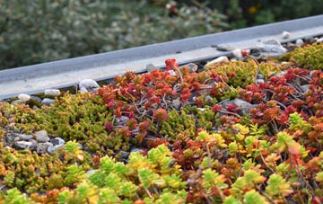 the cost of Milton Abbas green roof installation