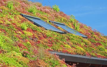 Milton Abbas living roof systems