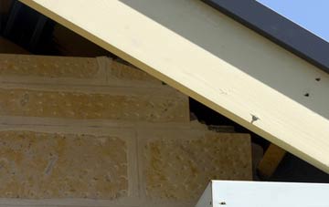soffit repair Milton Abbas