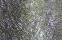 Milton Abbas fibreglass roof work